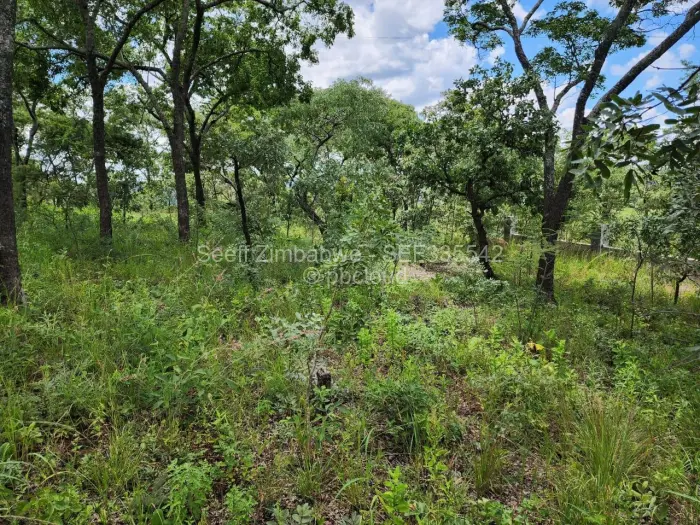 Residential Stand for Sale in Shawasha Hills, Harare