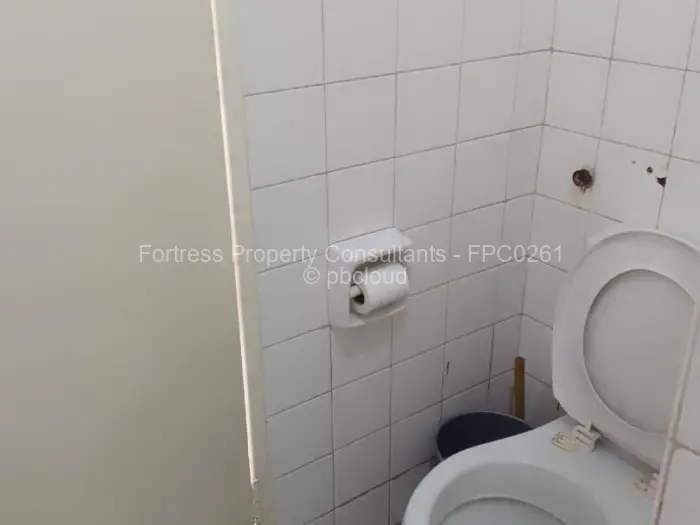 Flat/Apartment to Rent in Avenues