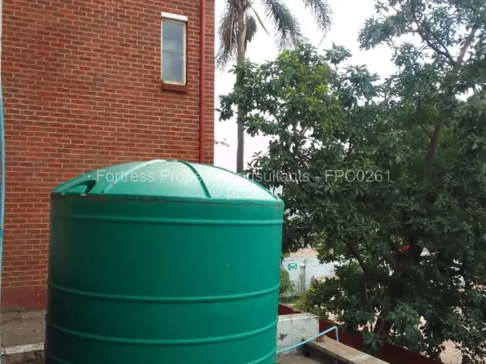 Flat/Apartment to Rent in Avenues