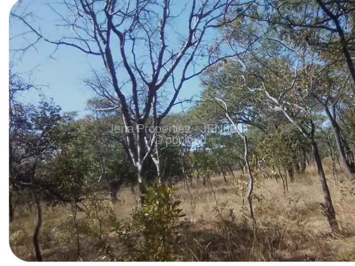 Farm/Plot for Sale in Gweru East, Gweru
