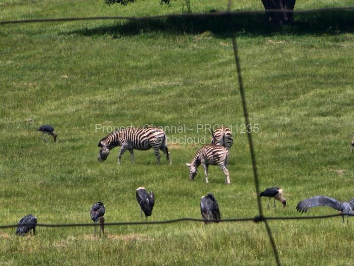 Residential Stand for Sale in Pomona, Harare