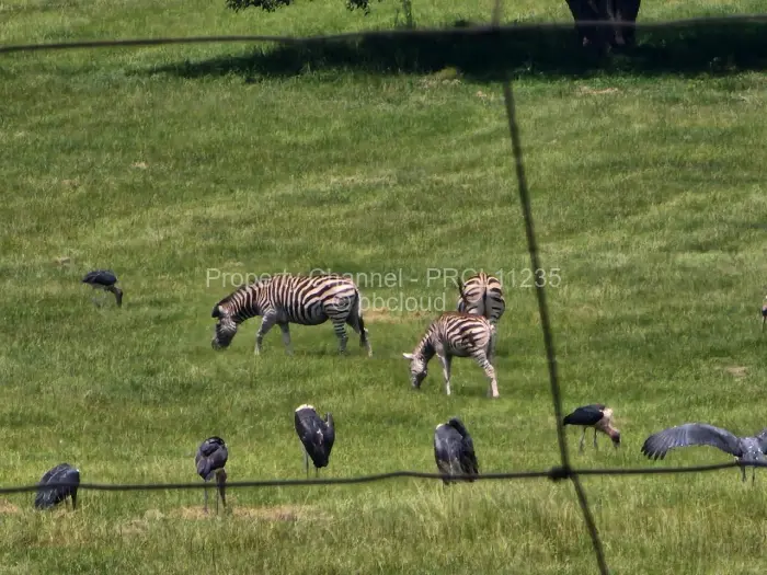 Residential Stand for Sale in Pomona, Harare