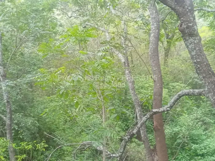 Residential Stand for Sale in Glen Lorne, Harare