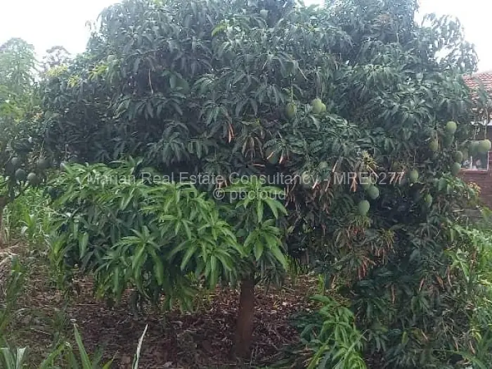 Residential Stand for Sale in Glen View, Harare