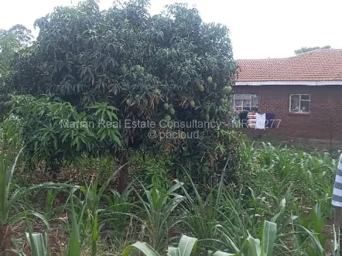 Residential Stand for Sale in Glen View, Harare