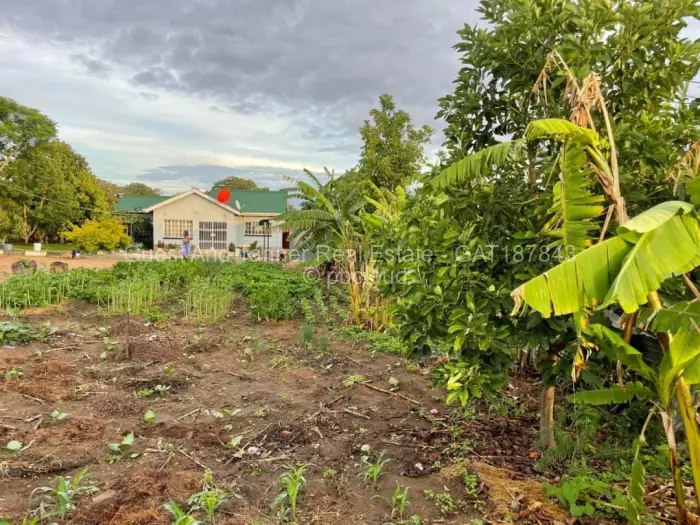 3 Bedroom House for Sale in Crowhill Views, Harare