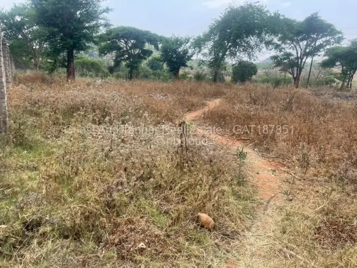 Residential Stand for Sale in Fairview, Harare