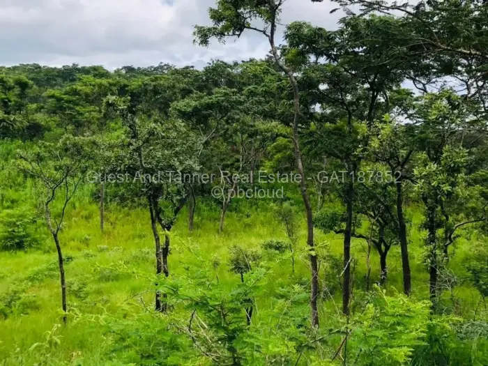 Residential Stand for Sale in Gletwin Park, Harare