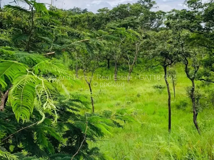 Residential Stand for Sale in Gletwin Park, Harare