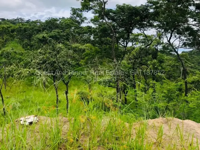 Residential Stand for Sale in Gletwin Park, Harare