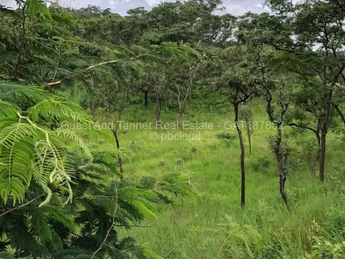 Residential Stand for Sale in Gletwin Park, Harare