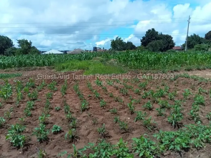 Commercial Stand for Sale in Ruwa, Ruwa