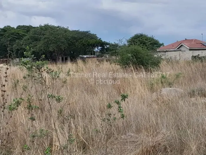 Residential Stand for Sale in Damofalls, Damofalls