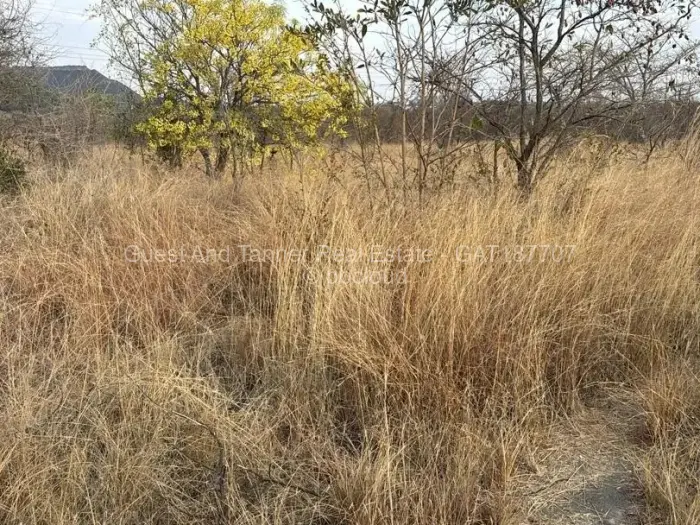 Commercial Stand for Sale in Kwekwe, Kwekwe