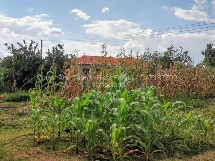 5 Bedroom House for Sale in Sandton Park, Harare