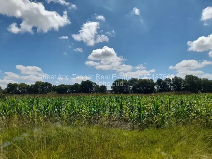 Residential Stand for Sale in Marlborough, Harare