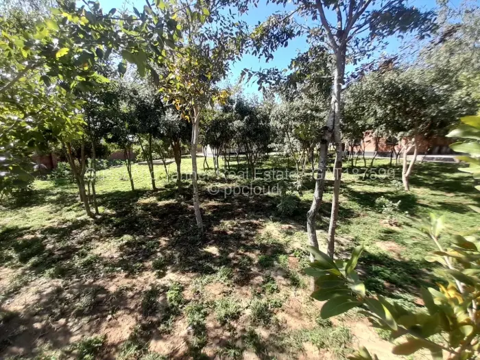 4 Bedroom House for Sale in Sunway City, Harare