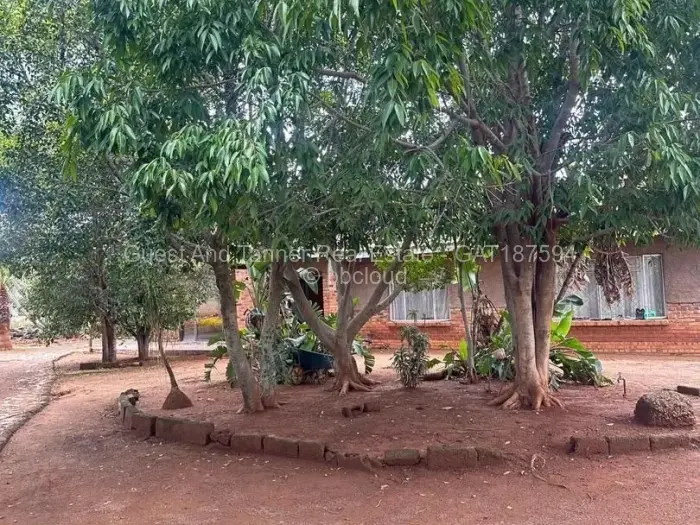 3 Bedroom House for Sale in Newton West, Bulawayo