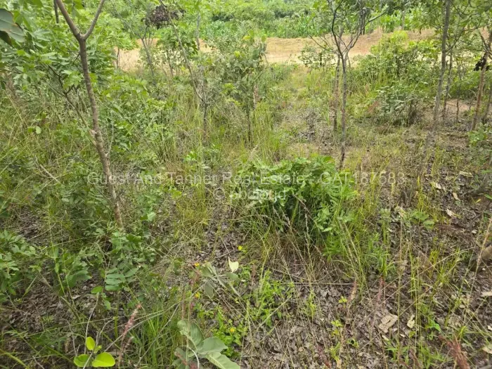 Residential Stand for Sale in Marondera, Marondera