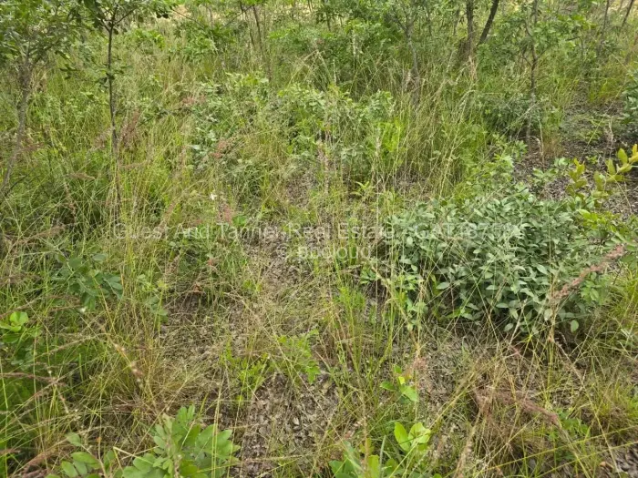 Residential Stand for Sale in Marondera, Marondera