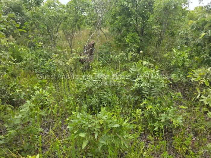 Residential Stand for Sale in Marondera, Marondera