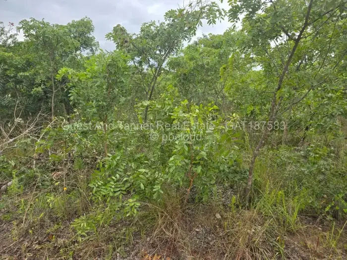 Residential Stand for Sale in Marondera, Marondera