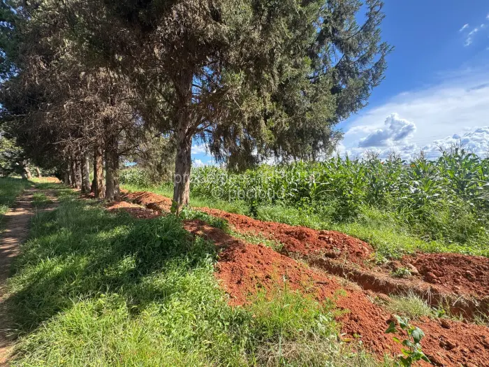 Residential Stand for Sale in Mandara, Harare