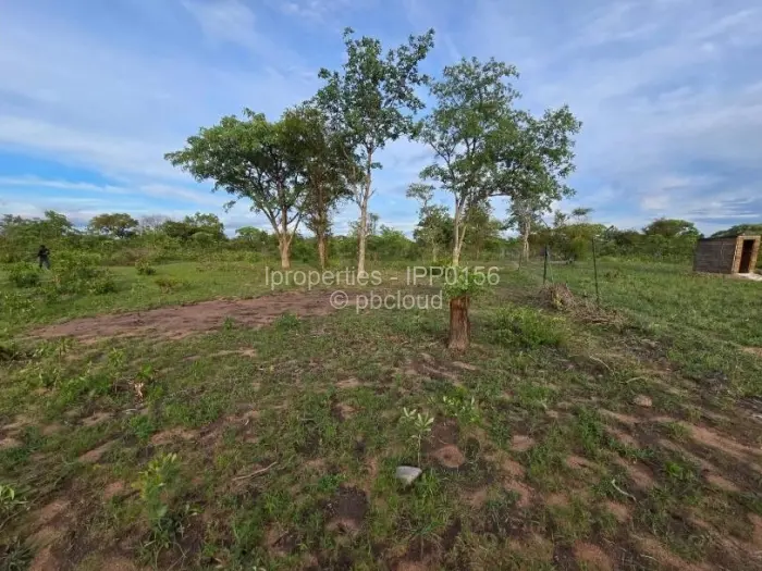 Commercial Stand for Sale in Kadoma, Kadoma