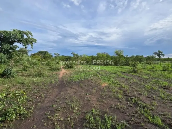 Commercial Stand for Sale in Kadoma, Kadoma