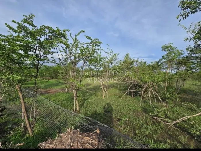 Commercial Stand for Sale in Kadoma, Kadoma