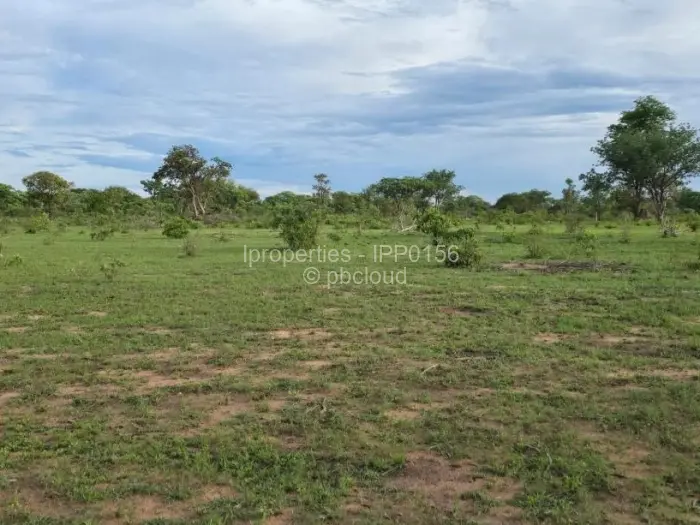 Commercial Stand for Sale in Kadoma, Kadoma
