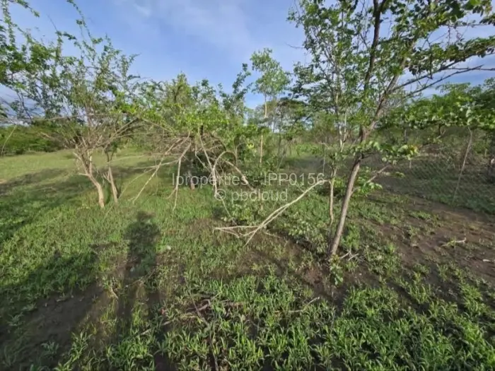 Commercial Stand for Sale in Kadoma, Kadoma