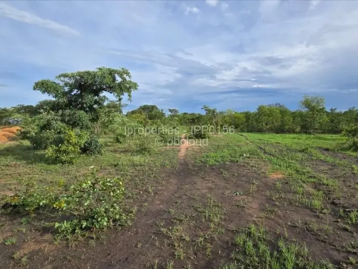 Commercial Stand for Sale in Kadoma, Kadoma