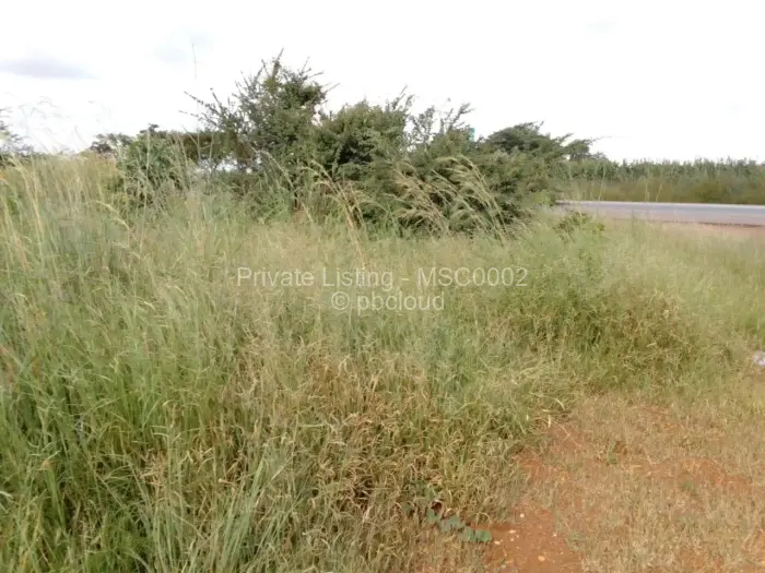 Commercial Stand for Sale in Beatrice, Beatrice