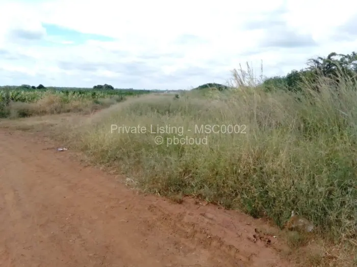 Commercial Stand for Sale in Beatrice, Beatrice