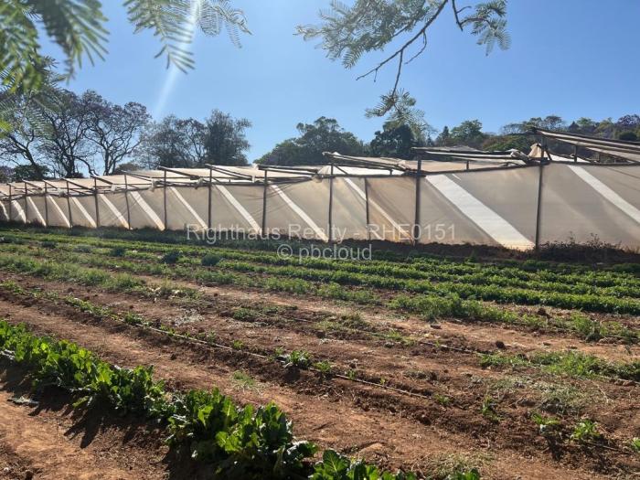 Farm/Plot for Sale in Umwinsidale, Harare