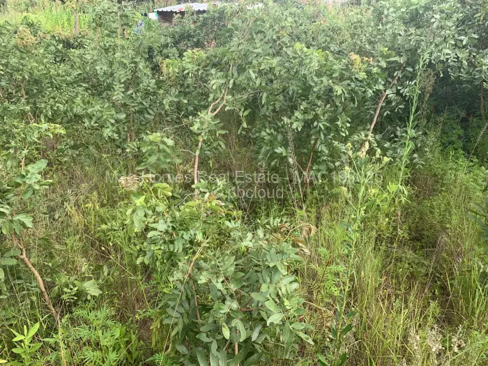 Residential Stand for Sale in Crowhill Views, Harare