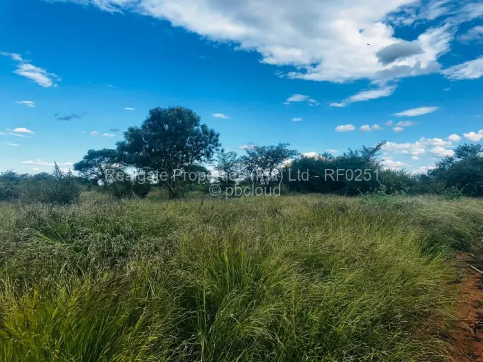 Residential Stand for Sale in Woodville, Bulawayo