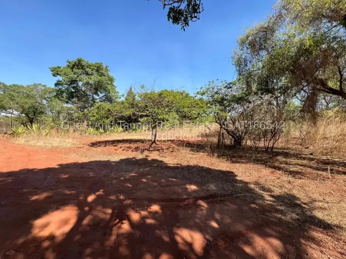 Farm/Plot for Sale in Glen Forest, Harare