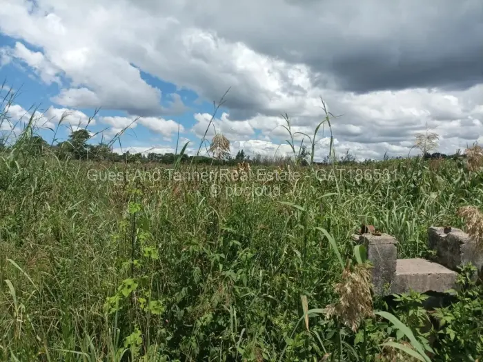 Residential Stand for Sale in The Grange, Harare