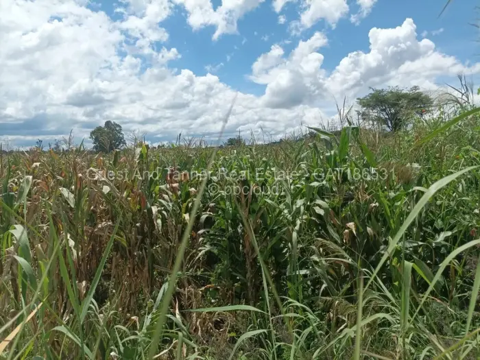 Residential Stand for Sale in The Grange, Harare