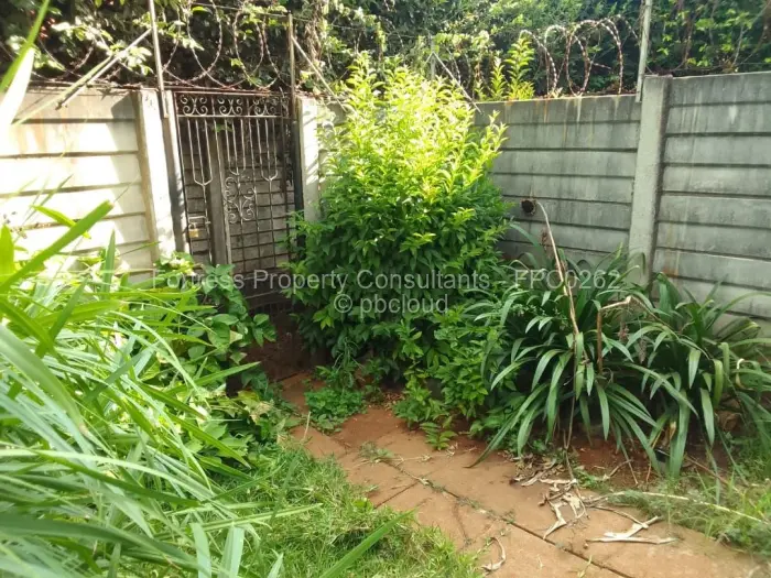 Flat/Apartment to Rent in Avenues