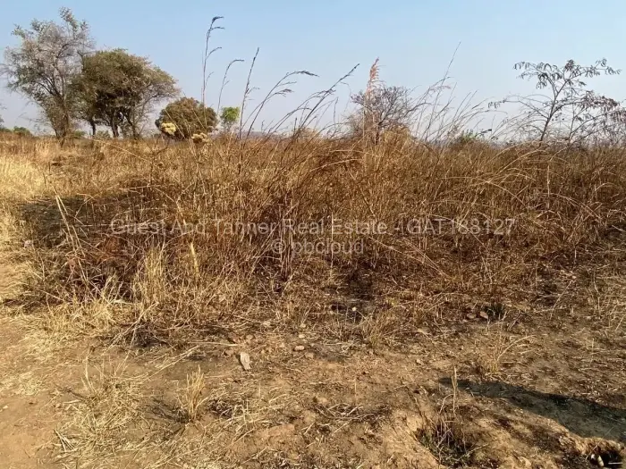 Residential Stand for Sale in Bindura, Bindura