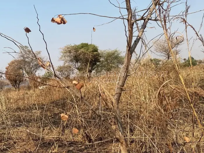 Residential Stand for Sale in Bindura, Bindura