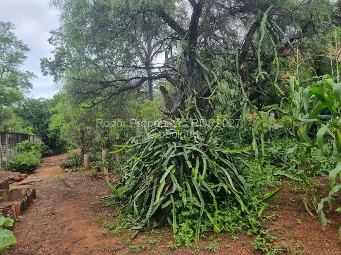 House for Sale in Burnside, Bulawayo