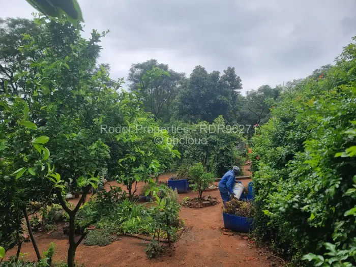 House for Sale in Burnside, Bulawayo