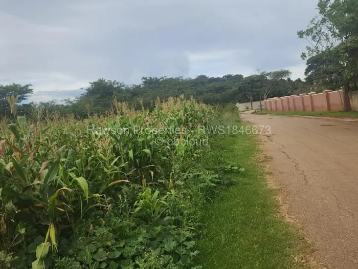 Residential Stand for Sale in Bluff Hill