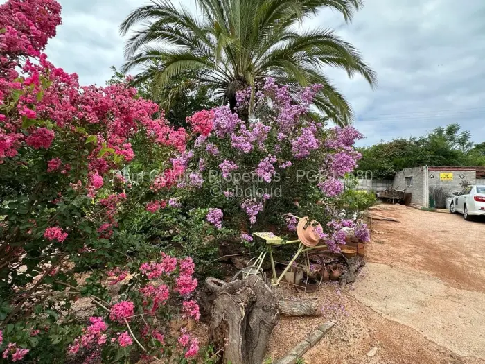 3 Bedroom House for Sale in Burnside, Bulawayo