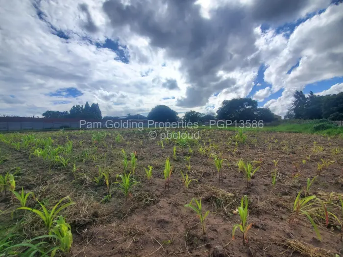 Residential Stand for Sale in Parktown, Harare