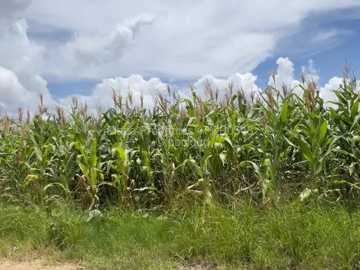 Residential Stand for Sale in Haydon Park, Mazowe